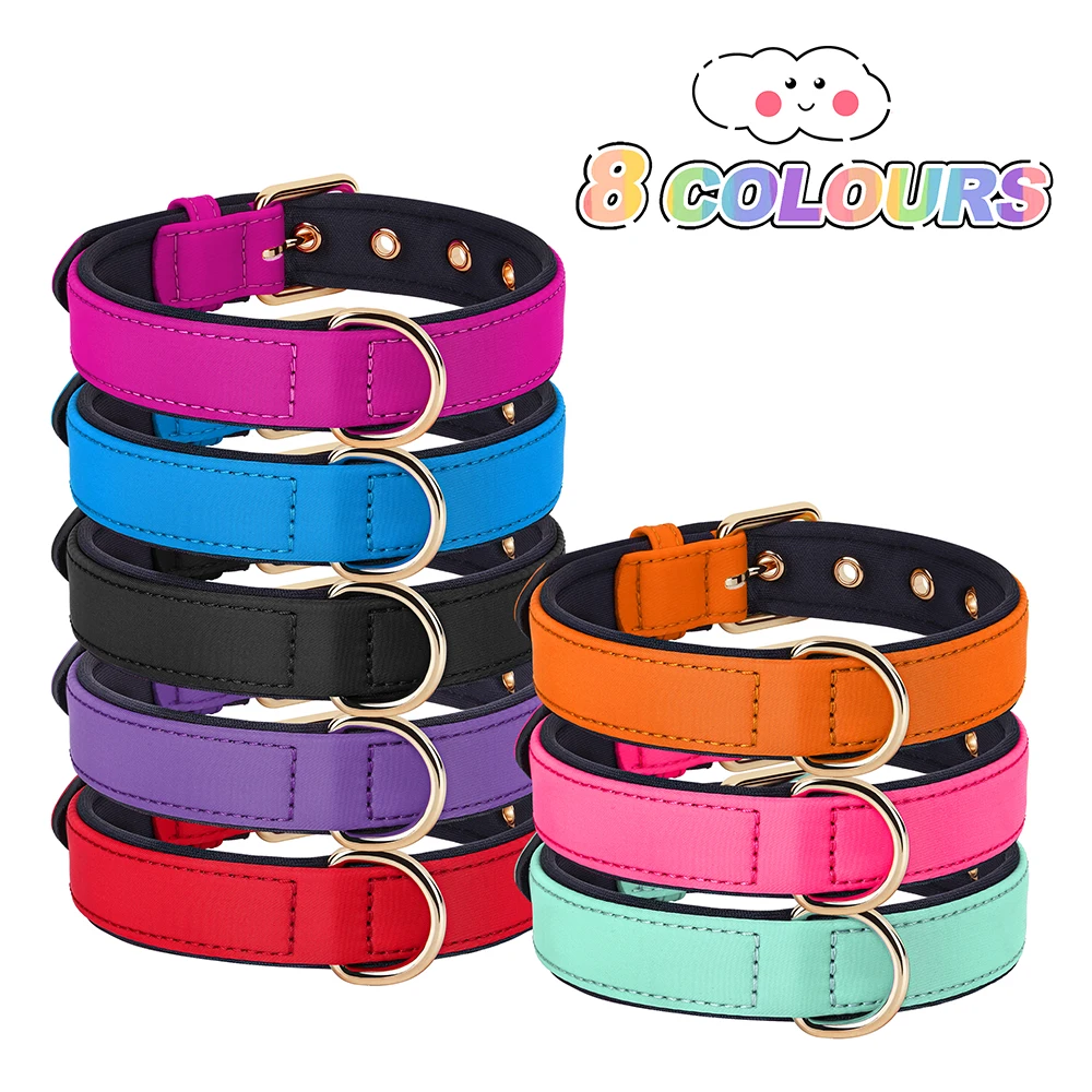 Collar de perro de 8 colores, collares de nailon impermeables para perros, Collar acolchado suave para mascotas para perros pequeños y medianos, Chihuahua Pug duradero