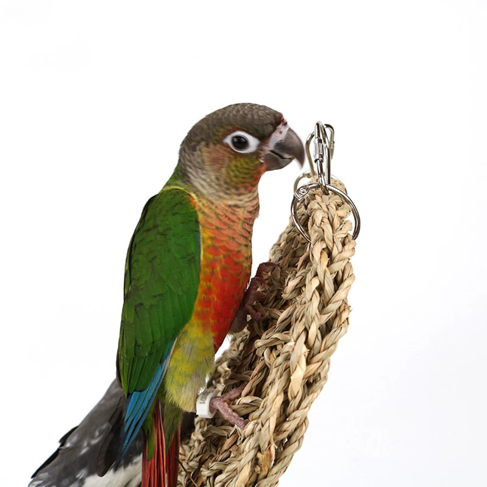 Escalera de cuerda para loros – Hierba marina, periquitos y cacatúas