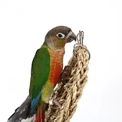 Escalera de cuerda para loros – Hierba marina, periquitos y cacatúas