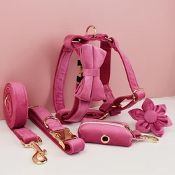 Collar y correa para perro terciopelo rojo-rosa con placa grabada