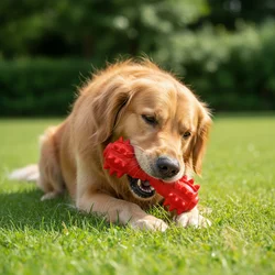 Barra masticable con sonido para perros – Limpieza dental y entretenimiento