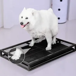 Inodoro interior de acero inoxidable para perros grandes - baño