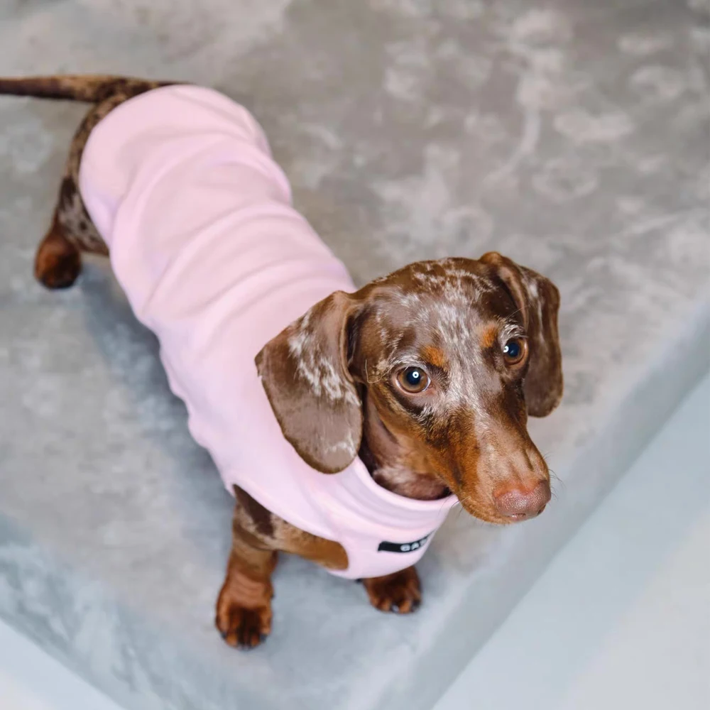 Chaleco de algodón cómodo para perros salchicha – entretiempo - imagen 2