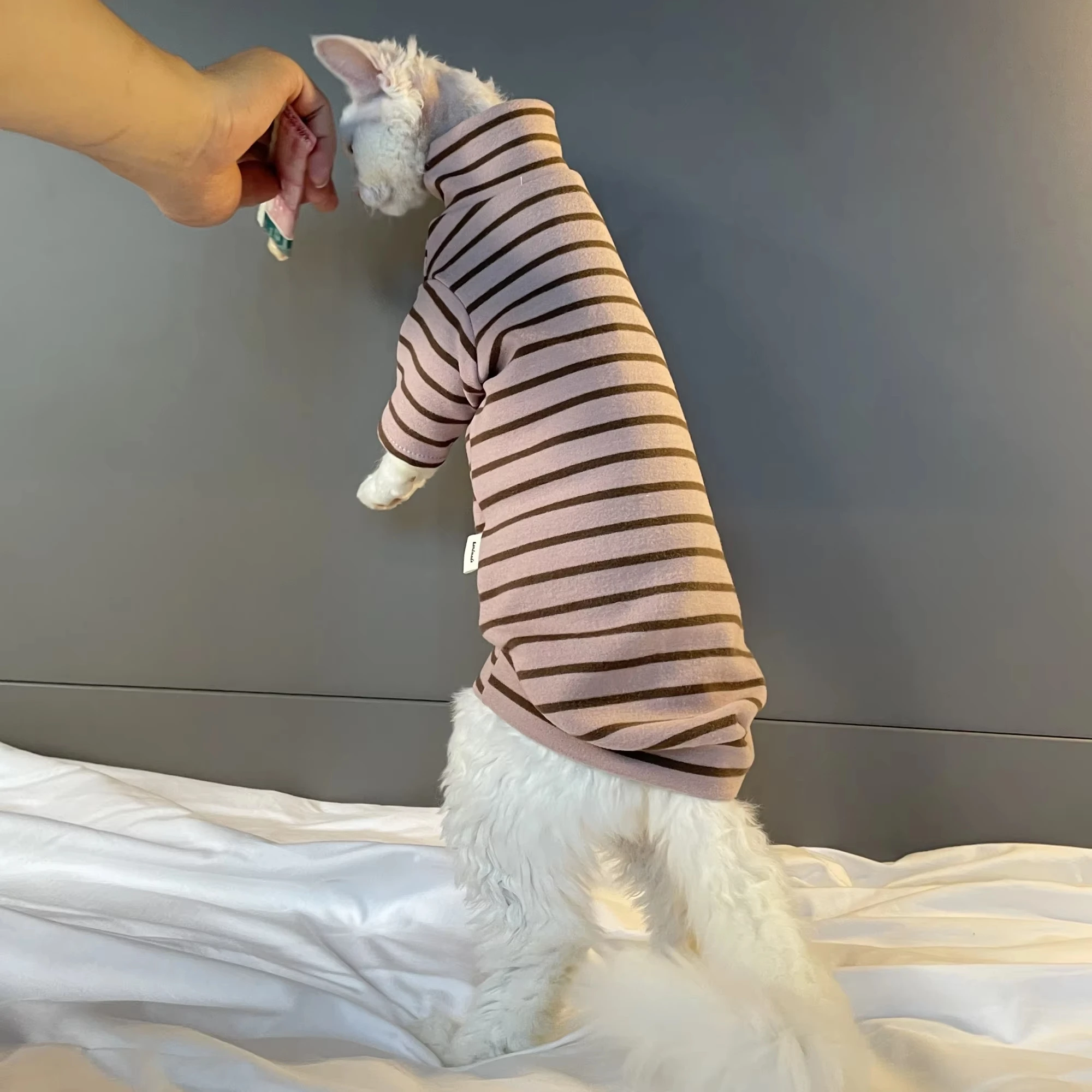 Pijamas de invierno para gatos Sphynx y Devon Rex con cuello alto - imagen 3