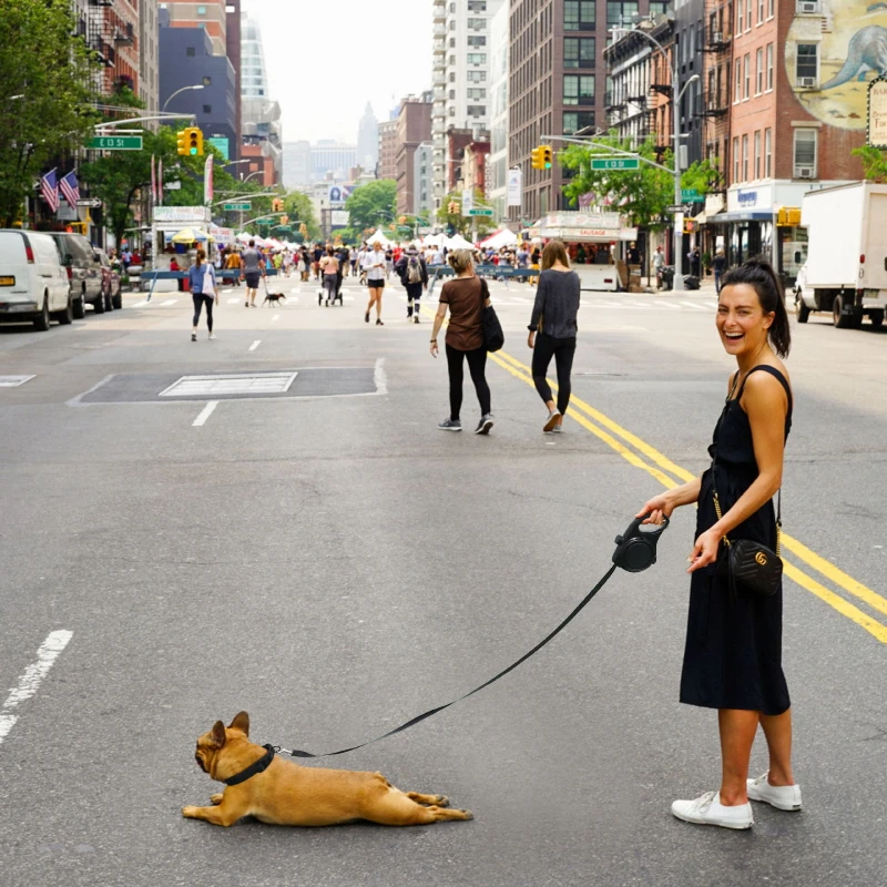 Correa de nailon para perros grandes, accesorios para cachorros, correas para perros y gatos con cuenco, almacenamiento de agua, mascotas, gatos, perros, correa para exteriores - imagen 4