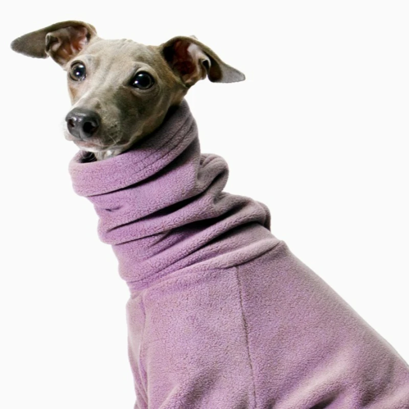 abrigo de invierno para Whippet y galgo con cuello protector - imagen 2