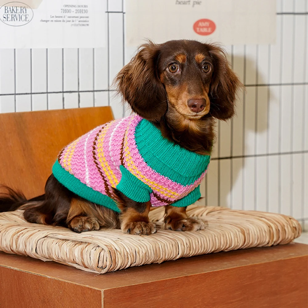 Moda perros Wiener sudadera a rayas ropa hecha a mano dulce suéter abrigo para perros salchicha en Otoño Invierno - imagen 2