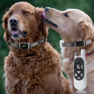Collar de adiestramiento para perros con control remoto y pantalla - imagen 3
