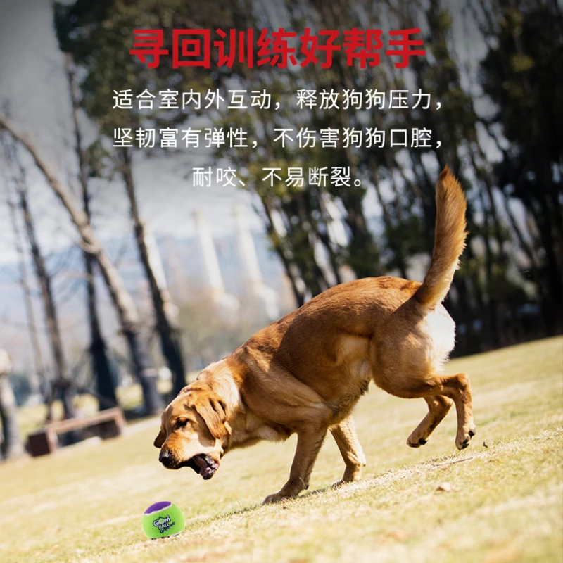 Pelota de peluche para perro, sonido clásico, tenis, rechinar los dientes, resistente a mordeduras, cachorro, peluche, lucha, Golden Retriever, juguetes para mascotas, productos para mascotas - imagen 2