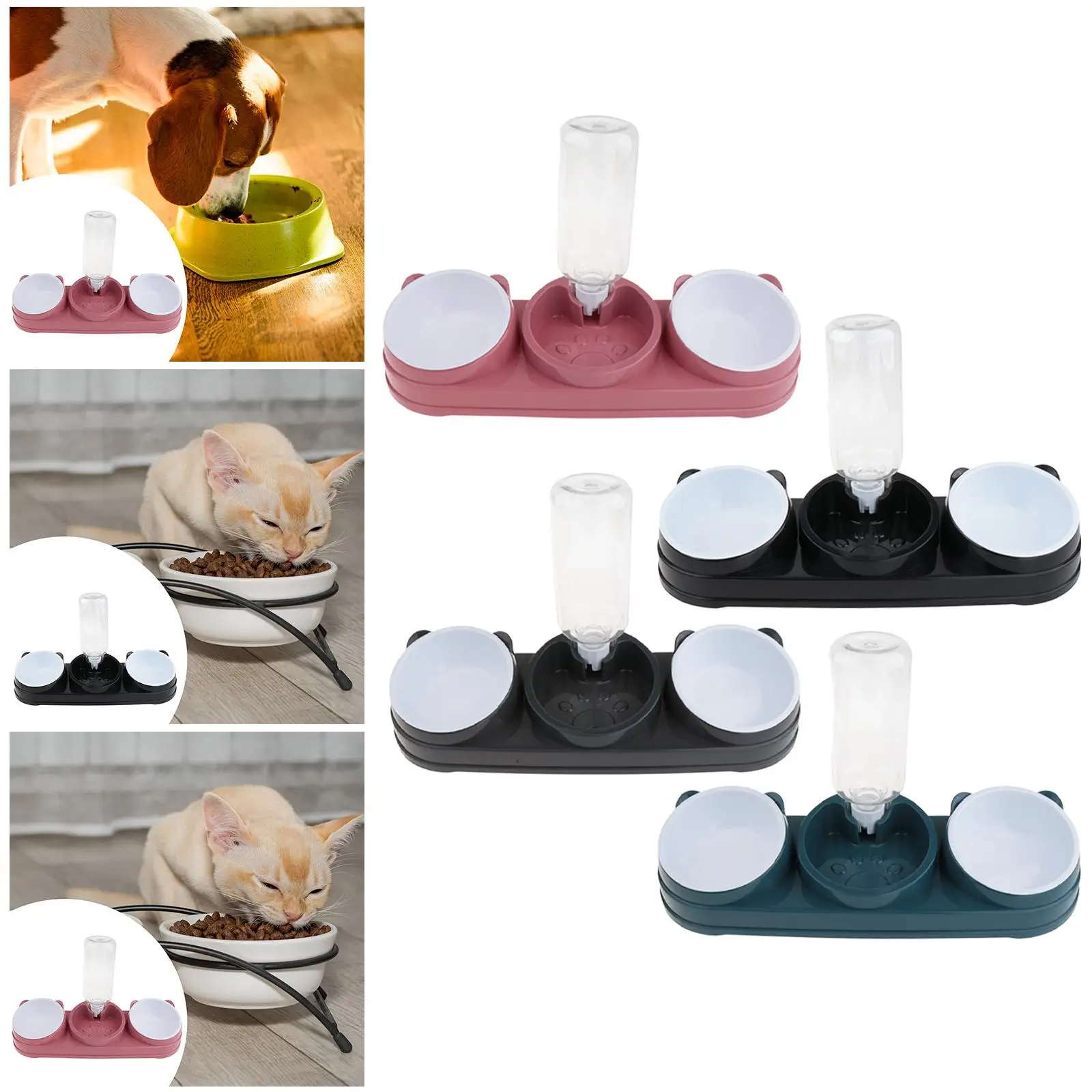 2 Food Bowls and Water Feeder Set Raised Raised Cat Dish for Feeding Puppy