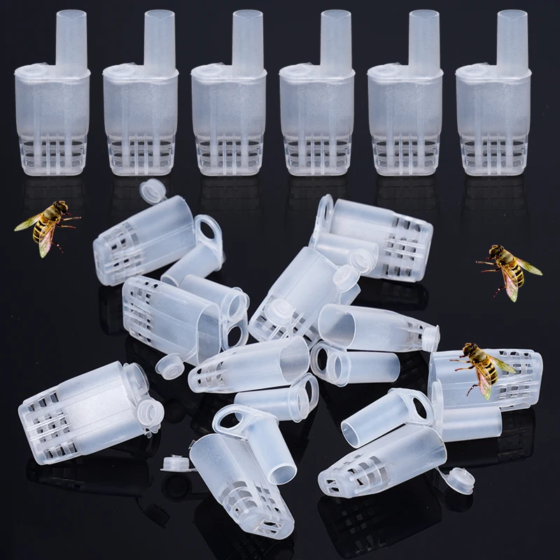 Jaulas de abeja reina para apicultor, protección de apicultura, aislamiento de abeja reina, plástico blanco, movimiento, herramientas de apicultura, 5/10/20 piezas - imagen 3