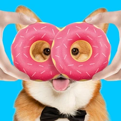 Donut de goma para perros - juguete dental interactivo para masticar