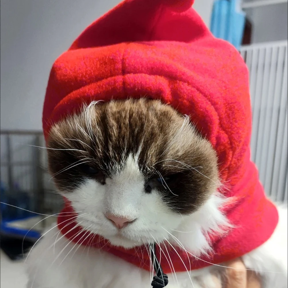 Gorro para cachorros y gatos, gorro cálido de lana para mascotas, accesorios para perros pequeños, gatos y gatitos, sombreros Sphynx ajustables de cuello alto, otoño e invierno - imagen 4