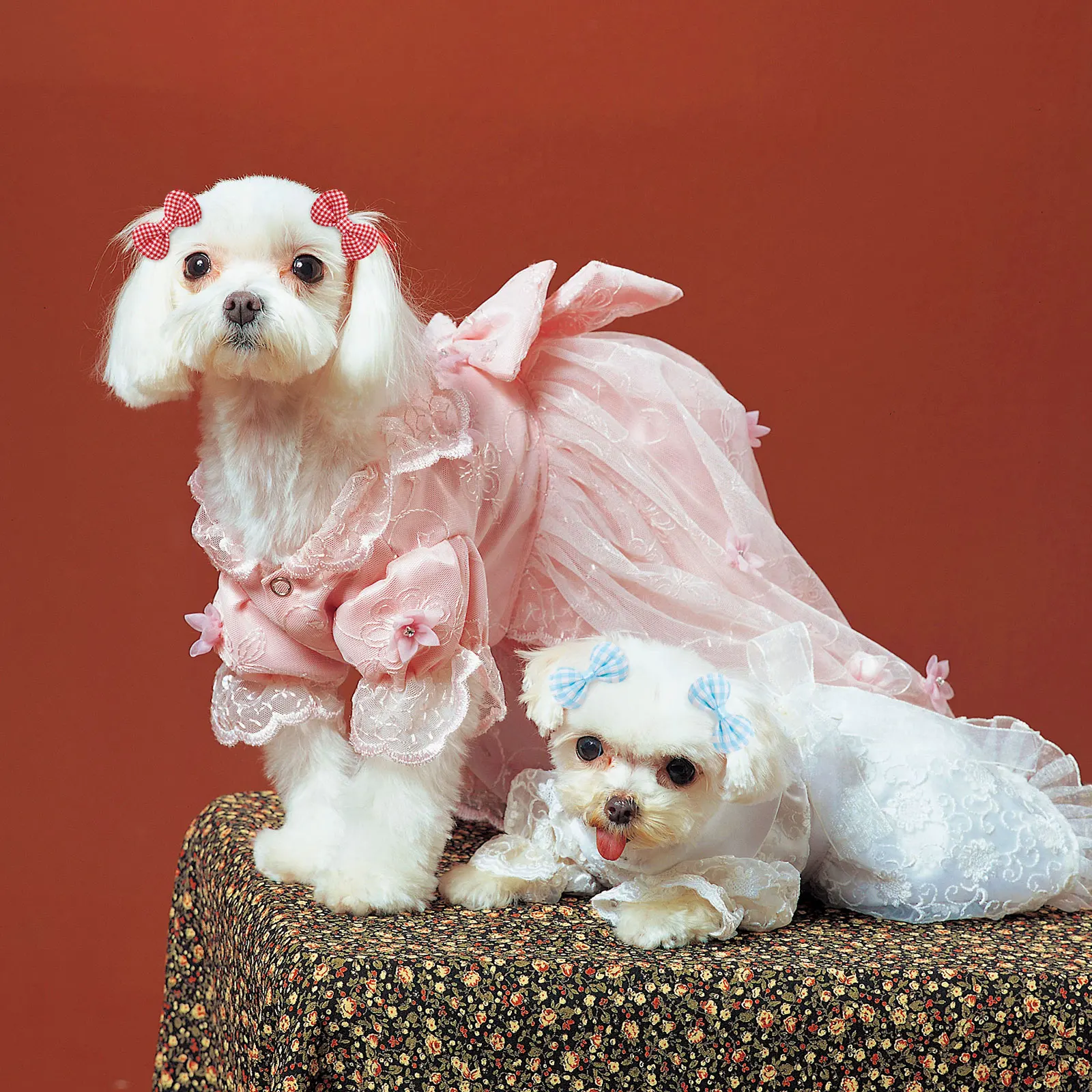 50 Lazos Perros Pequeños Masue Pets - Algodón Lazo Accesorios Pelo - imagen 2