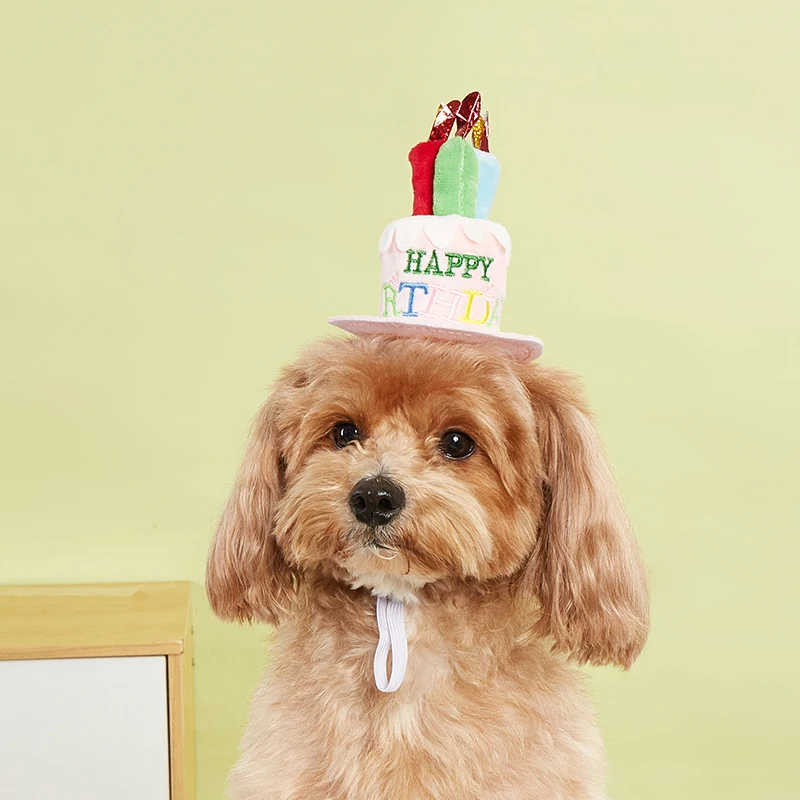 Booteely-Sombrero para perro para fiesta de cumpleaños, gorros ajustables para perros, disfraces para perros y gatos, sombrero de vestir para el cuidado de cachorros, suministros para mascotas - imagen 2