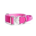 Gradient Pink