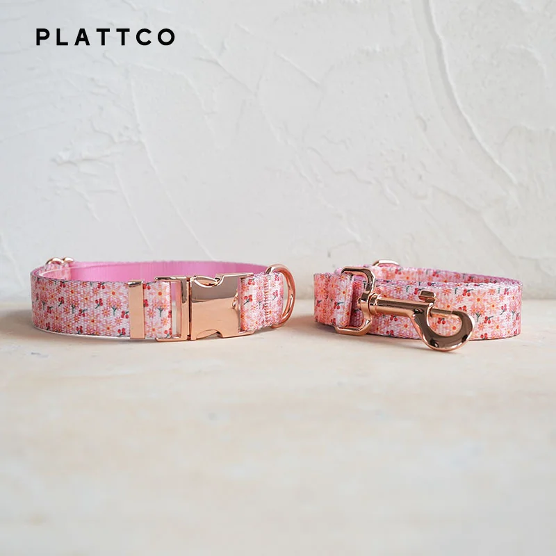 Dog Collar Leash Set