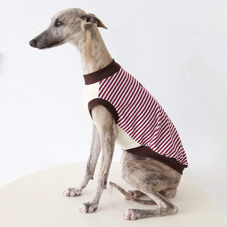Camiseta rayas de algodón transpirable para galgo italiano y whippet - imagen 4