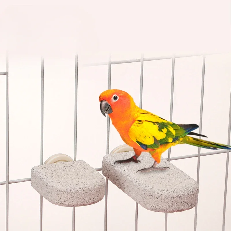 Varilla de estación para loros, suministros para pájaros, estante de estación exfoliante, varilla de garra para rechinar dientes, accesorios para pájaros, 1 ud. - imagen 4