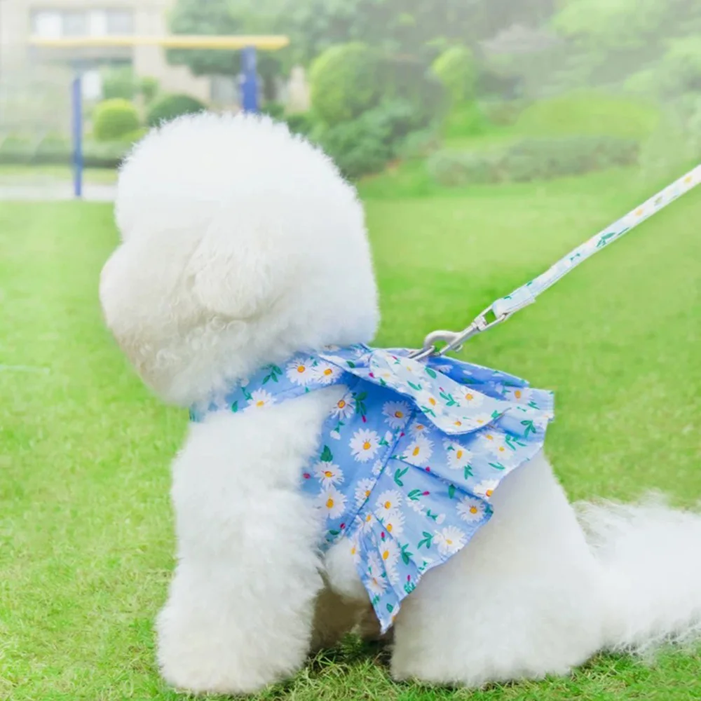 Conjunto de arnés y correa estilo vestido para perros pequeños, gatos, estampado dulce con lazo, correas para el pecho para mascotas, suministros para cachorros de primavera y verano - imagen 4