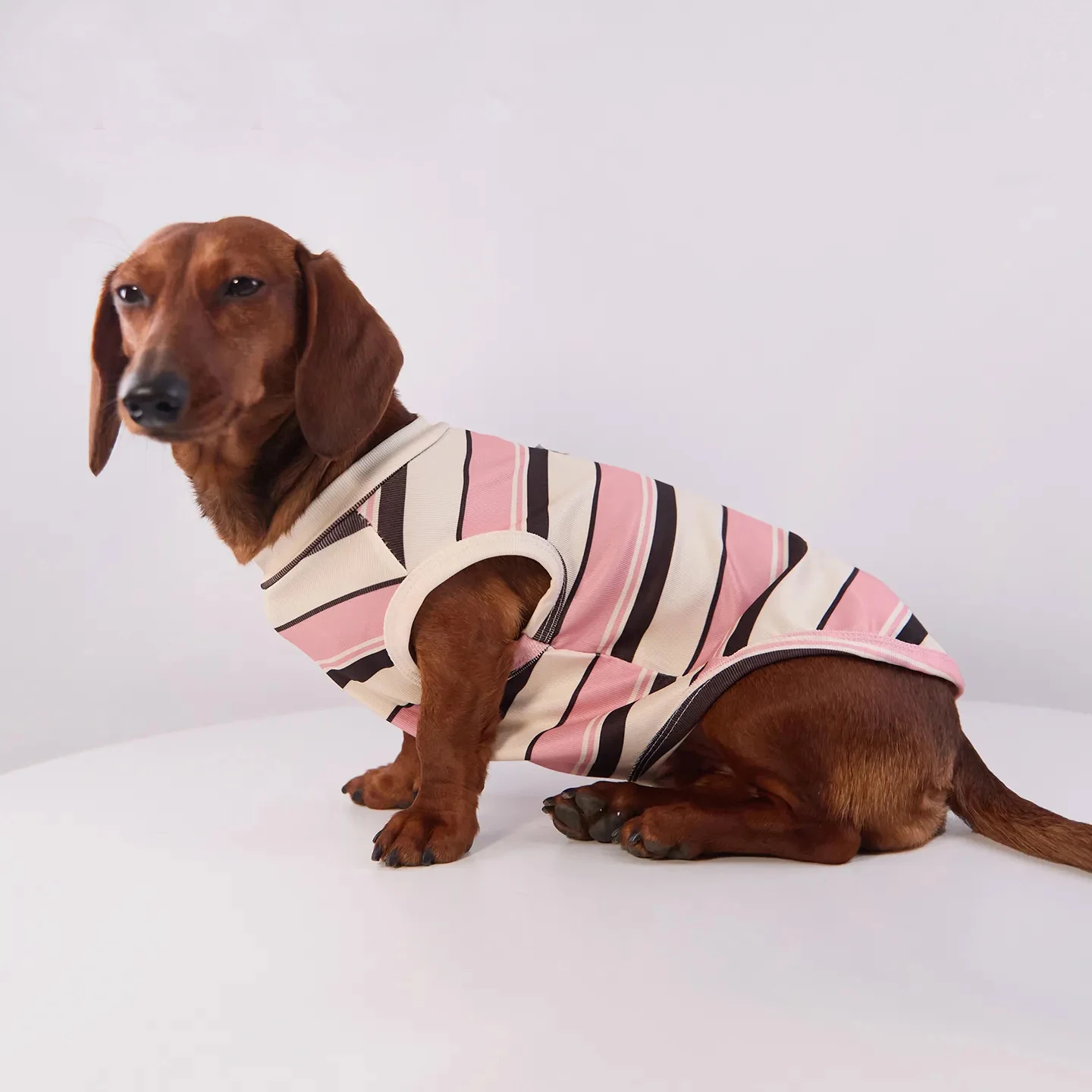 Camiseta primavera a rayas para perro salchicha – algodón manga corta - imagen 3