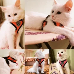 Arnés con chaleco ajustable para gato y perro
