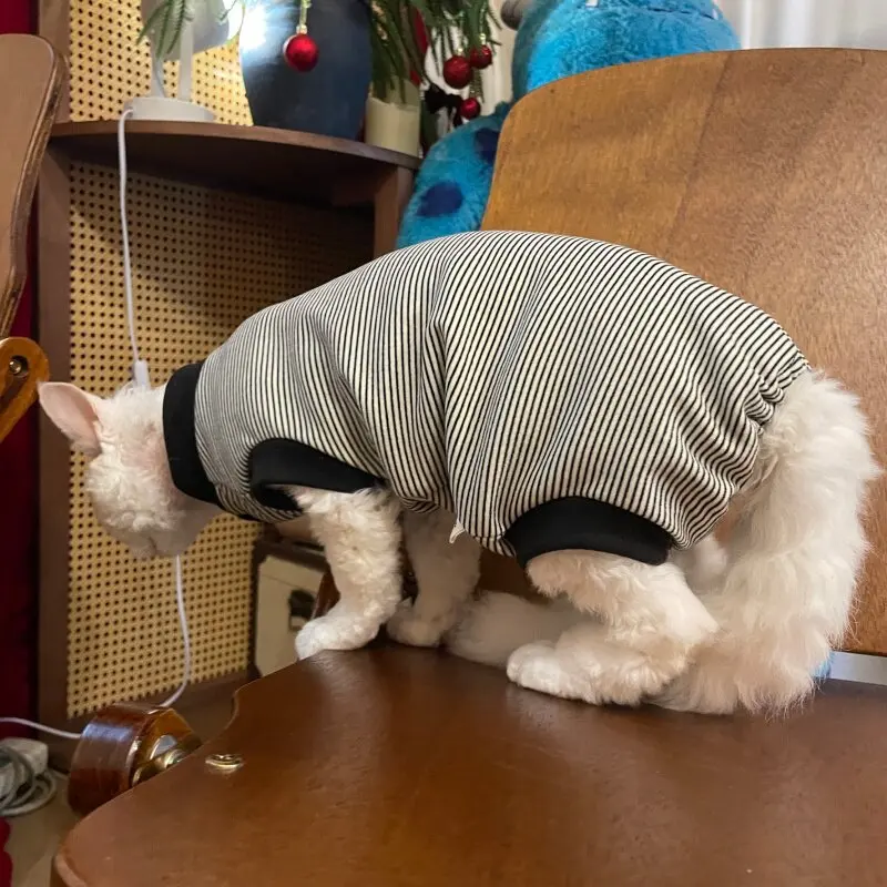 Body de punto para gatos sin pelo Sphynx y Devon Rex – Protección abdominal - imagen 3