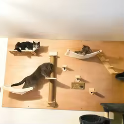 Rascador para gatos con plataforma de salto, hamaca y comedero triple