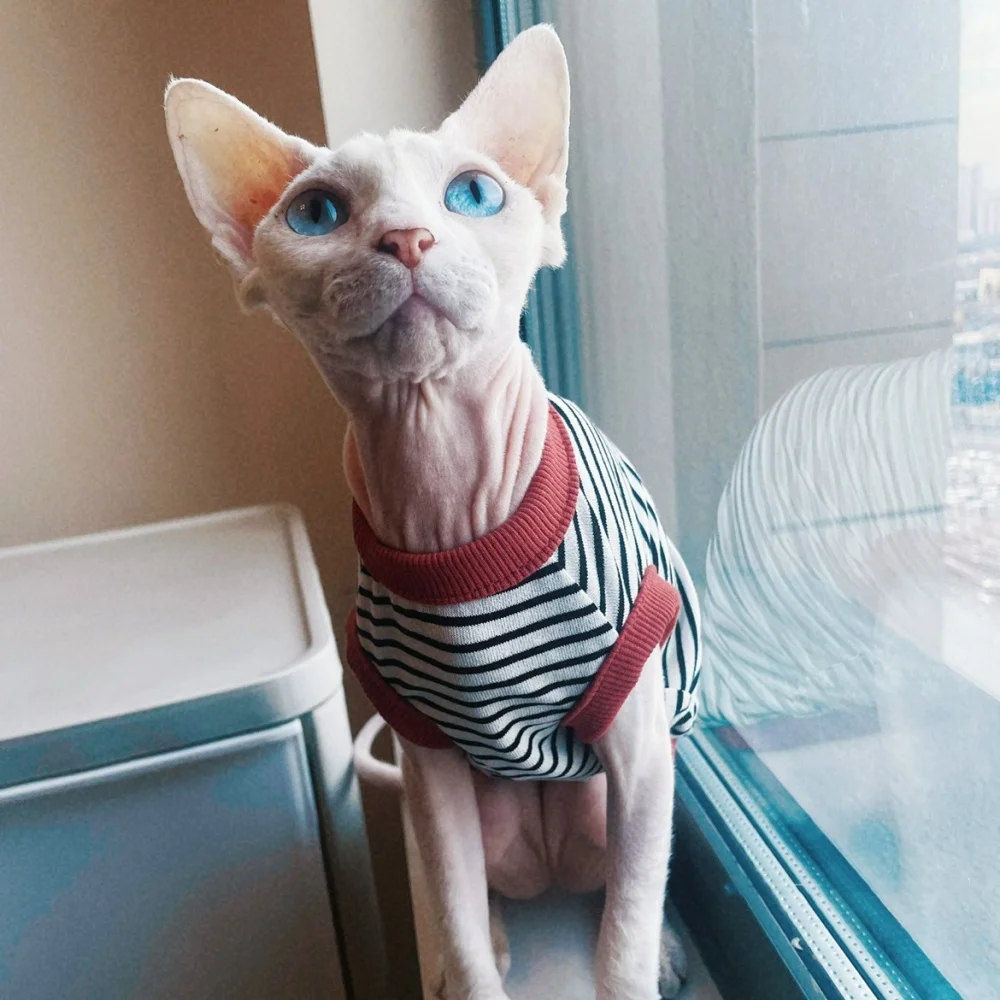 Ropa de gato Sphynx en primavera Camiseta de algodón a rayas verde café para gatitos Abrigo sin mangas para perros pequeños Devon Rex en verano - imagen 4