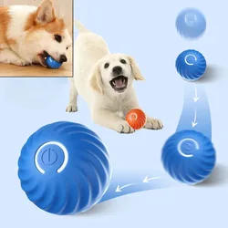 Pelota interactiva recargable movimiento automático rebote para perros