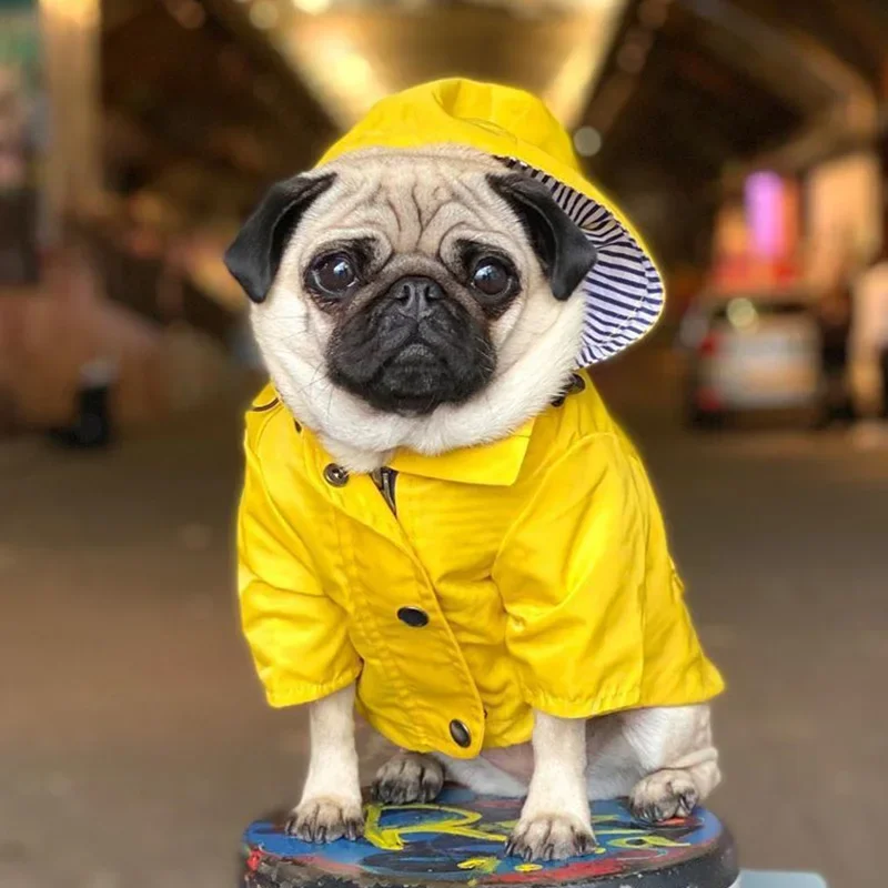 Chubasquero impermeable para mascotas, ropa para perros pequeños y medianos, Bulldog francés, Pug, Corgi, Pitbull - imagen 4