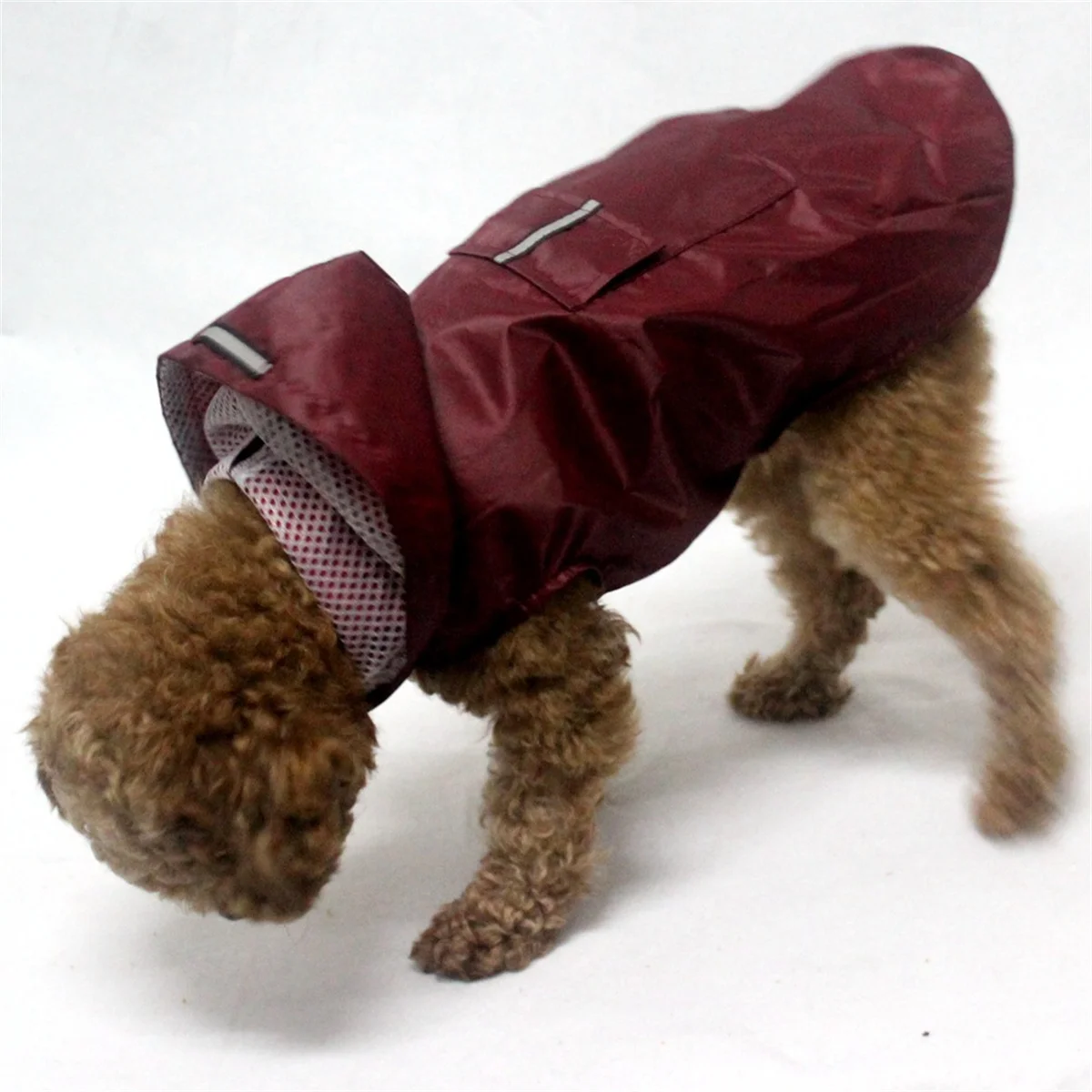 Chubasquero impermeable reflectante para perros de paseo - imagen 3