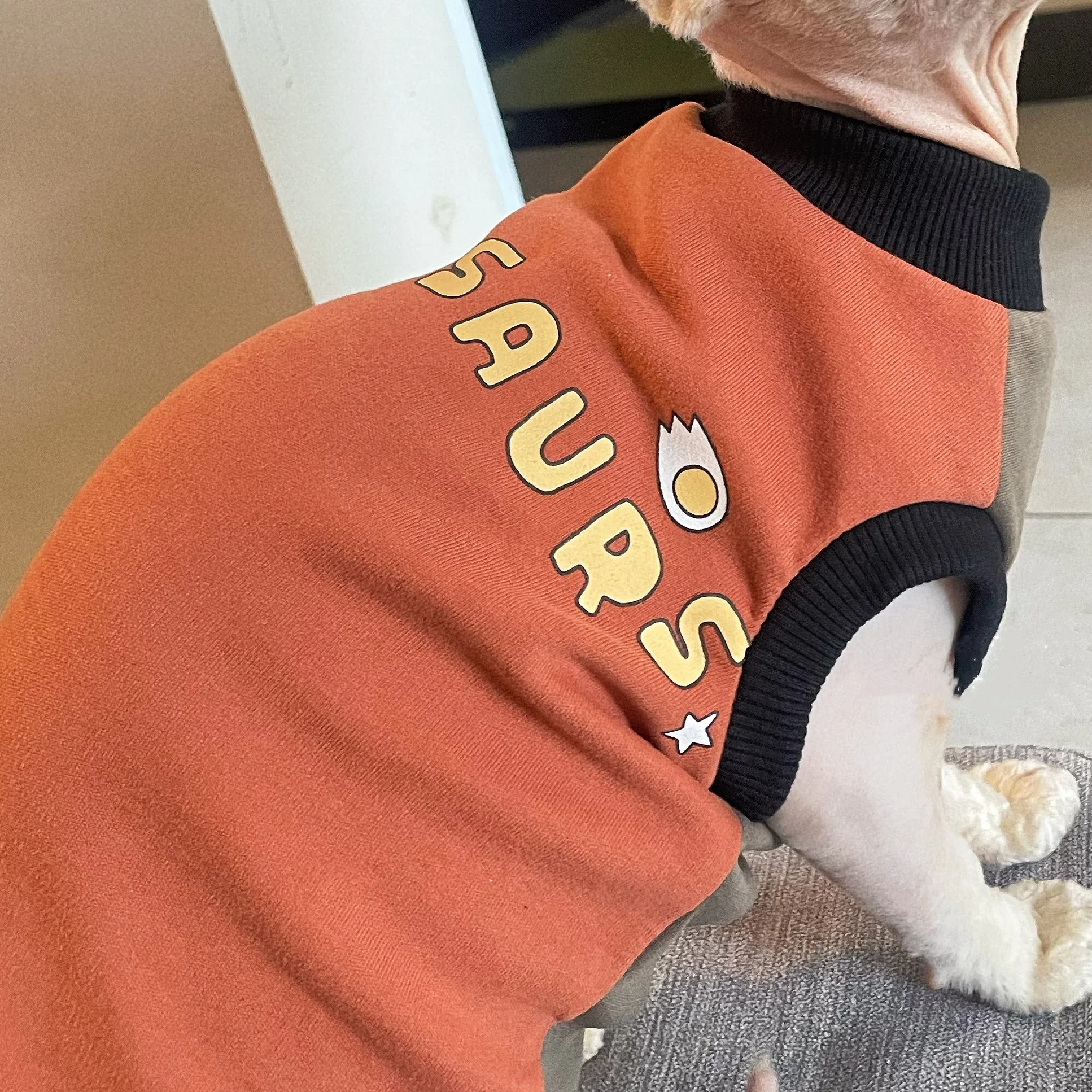 Chaleco abrigo invierno para gatos Sphynx y Devon Rex – Cálido suave - imagen 4