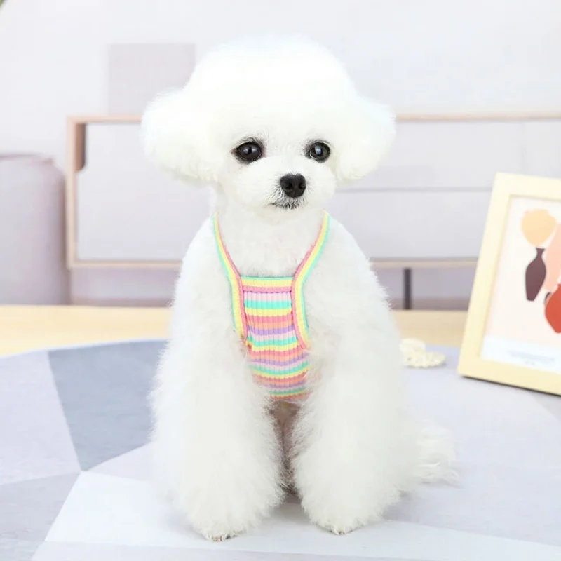 Vestido de lujo a rayas con estampado frutas para perro gato Chihuahua - imagen 2