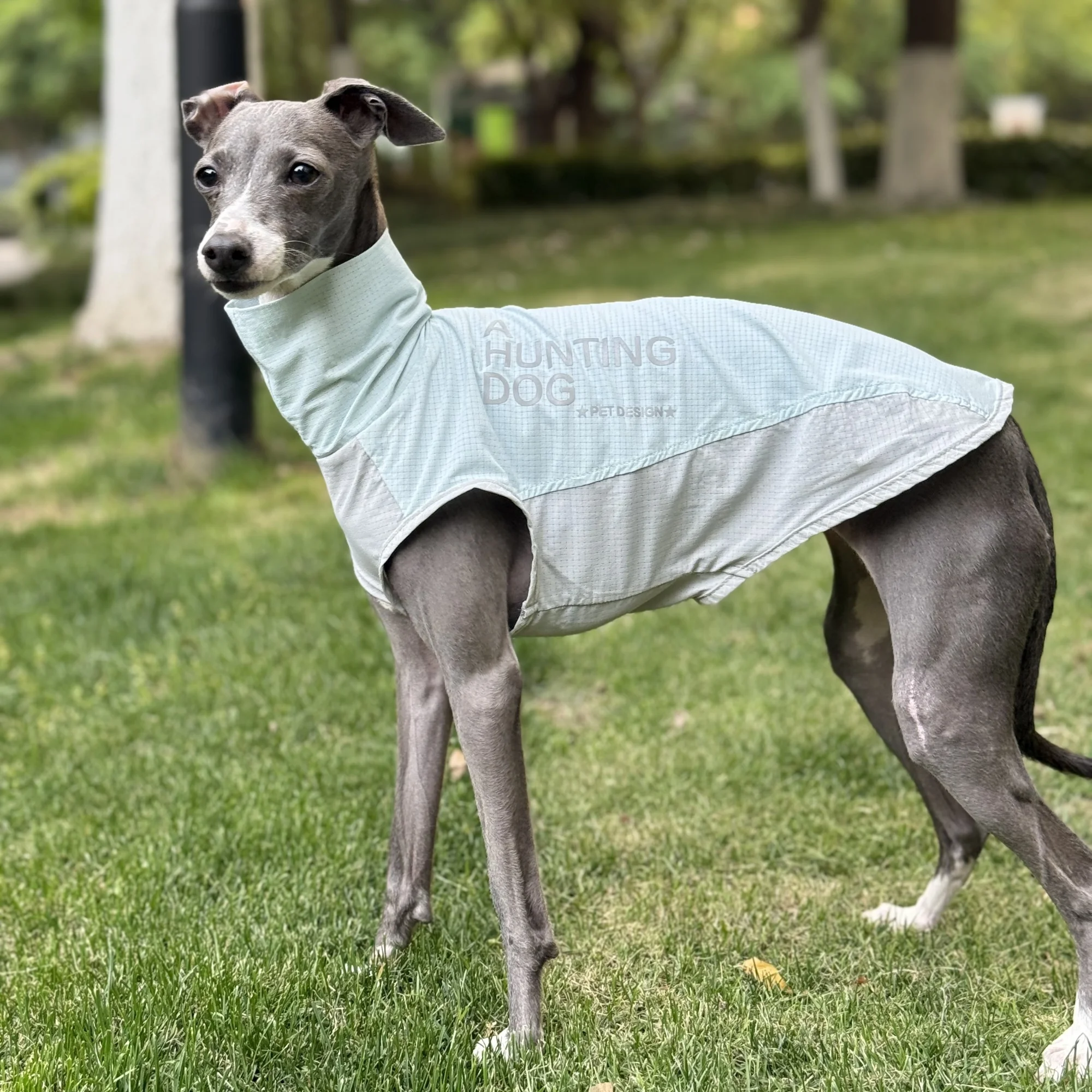Chaleco de cuello alto sin mangas azul verano para Whippet Absorción de humedad Secado rápido Camisa transpirable para GreyHound italiano Pelaje fino para perros medianos - imagen 2