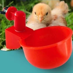 Bebedero automático para gallinas y patos de corral