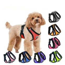 Chaleco verano ligero para perros pequeños y gatos - Arnés transpirable de paseo