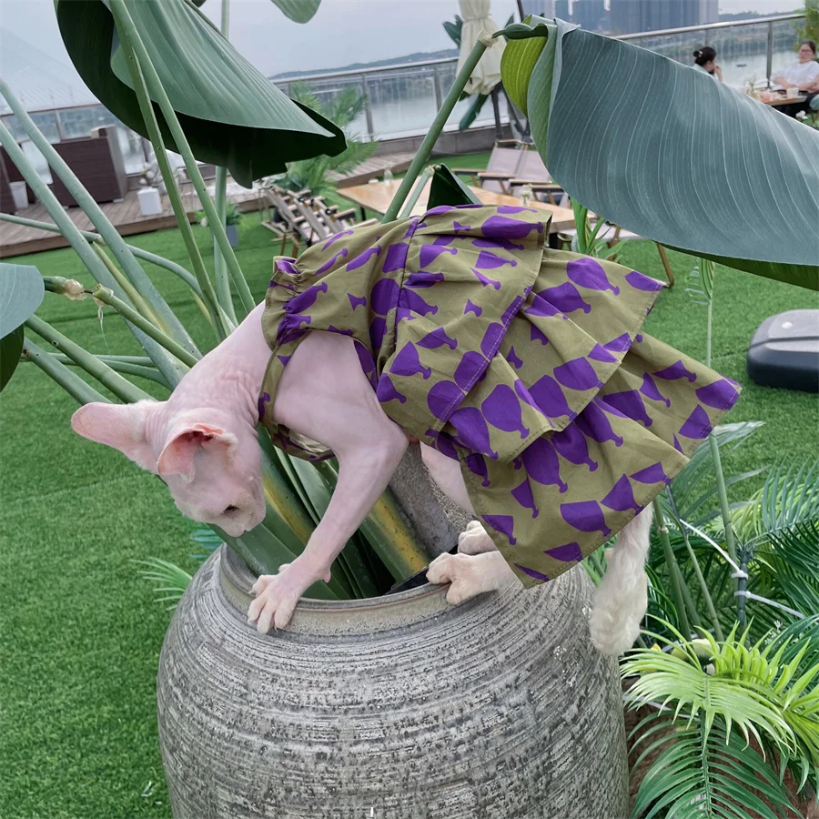 Vestido de encaje morado para gatos Sphynx – Algodón primavera - imagen 4