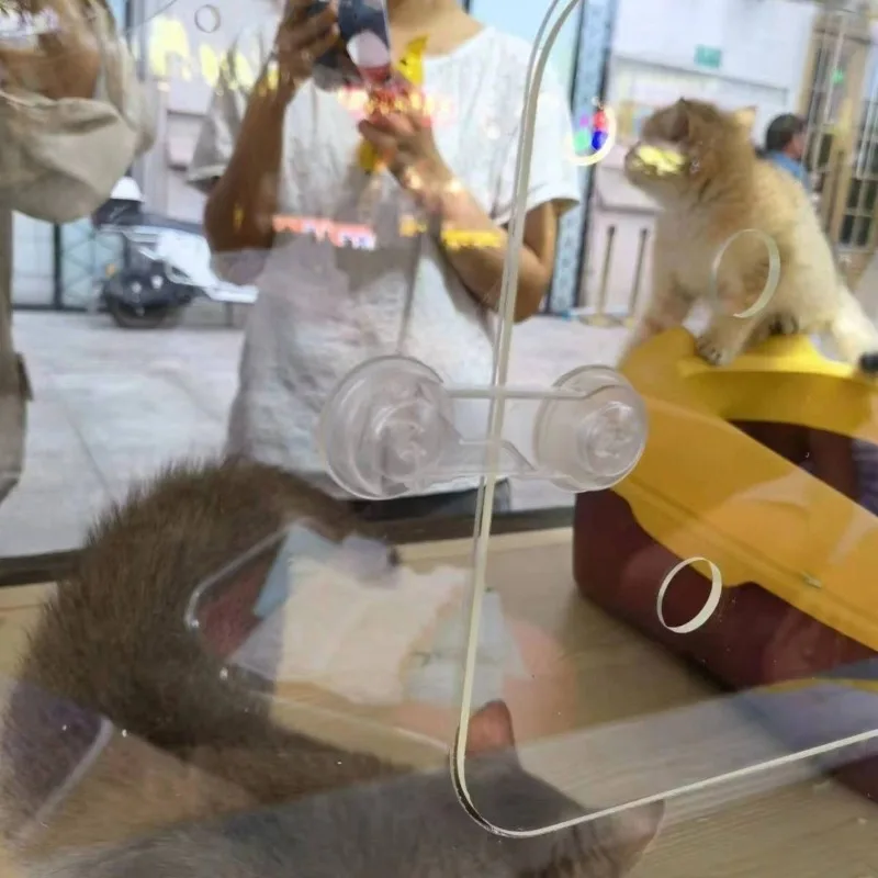 Jaula acrílica para gatos, vitrina transparente para interiores y exteriores, transpirable, impermeable, transportadores profesionales, accesorios para productos para mascotas - imagen 3