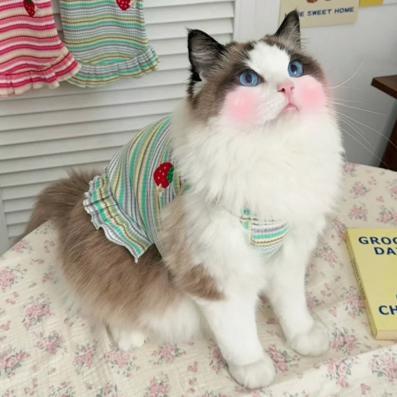 Vestido de lujo a rayas con estampado frutas para perro gato Chihuahua - imagen 5