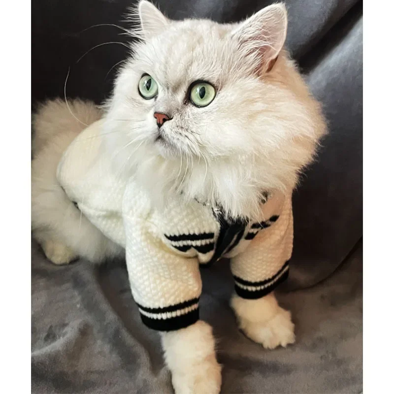 Nuevo suéter para mascotas, perro, Pomerania, gato de peluche con perla, pequeña fragancia, ropa de perlas, ropa para cachorros, productos para mascotas, disfraz para perros - imagen 2