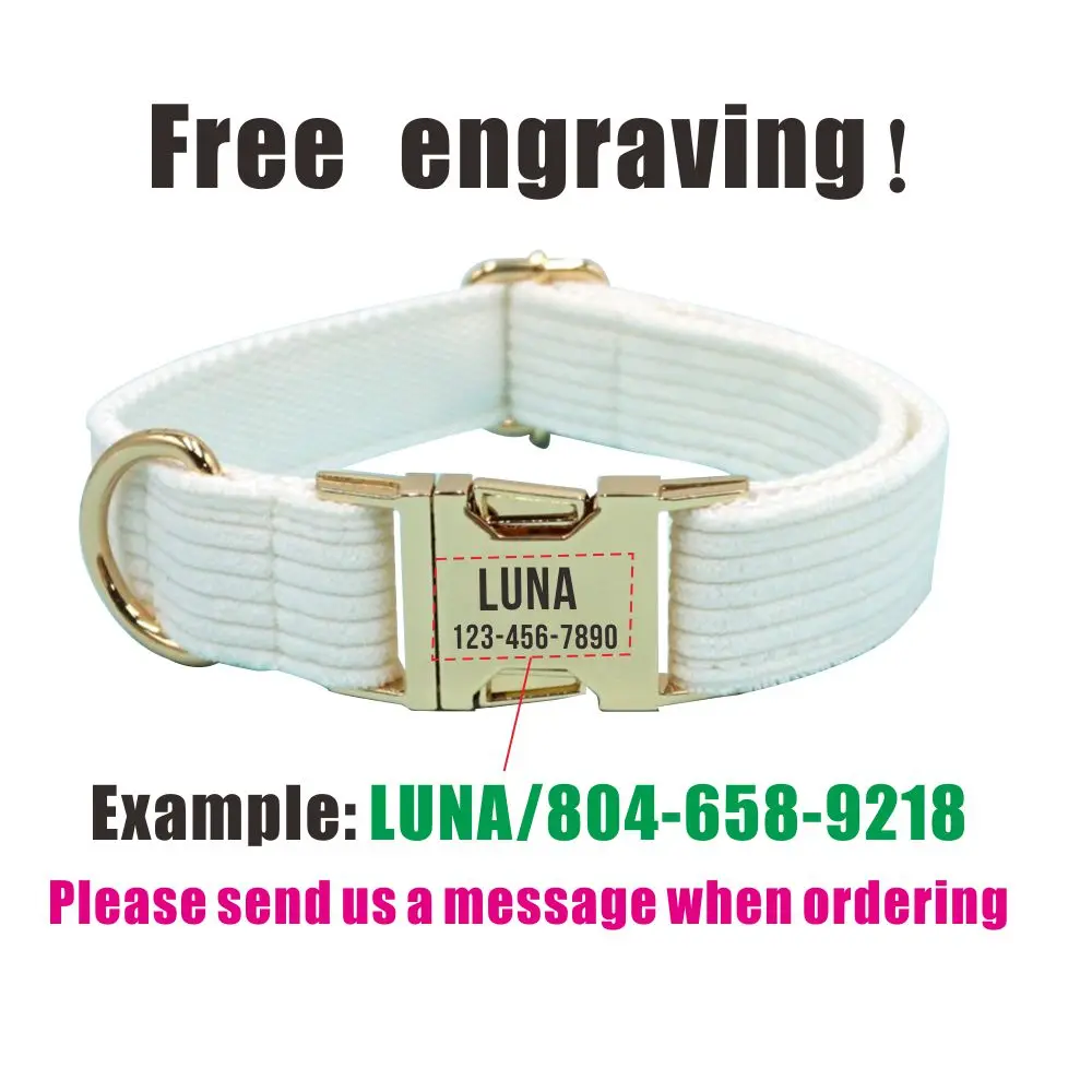 Collar de perro de pana blanca con grabado gratis, hebilla con nombre de identificación personalizado, suministro para perro, accesorio para mascotas, Collar para cachorro