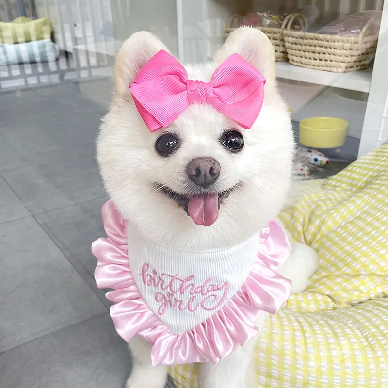 Pañuelo triangular para fiesta, babero de encaje de gato, ACCESORIOS FOTOGRÁFICOS, toalla de Saliva para cumpleaños, horquilla, traje, novedad - imagen 4