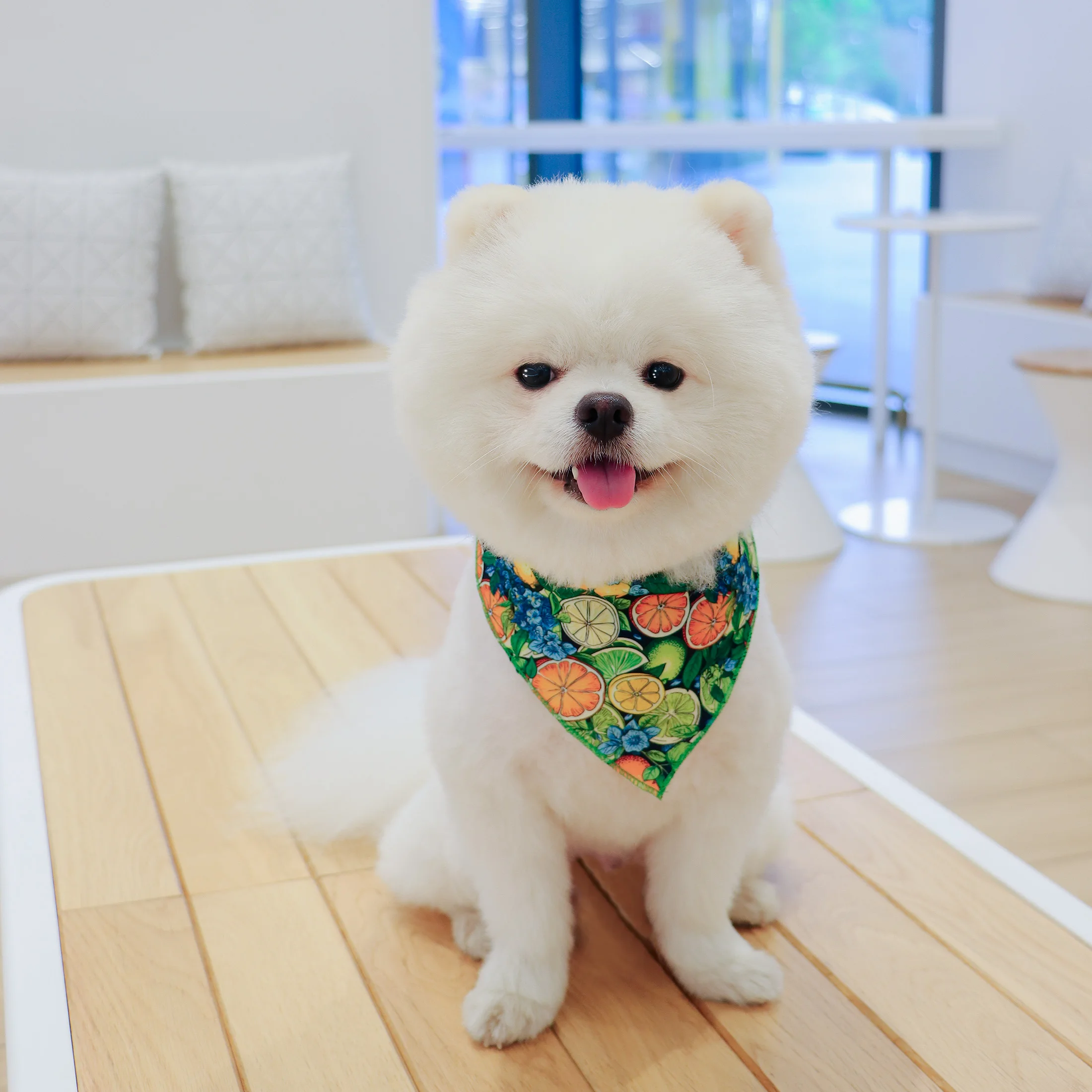 Bandana para perros con estampado floral y de frutas, bufanda triangular reversible para mascotas, ideal para perros pequeños/medianos, patrón de frutas de limón y naranja - imagen 3