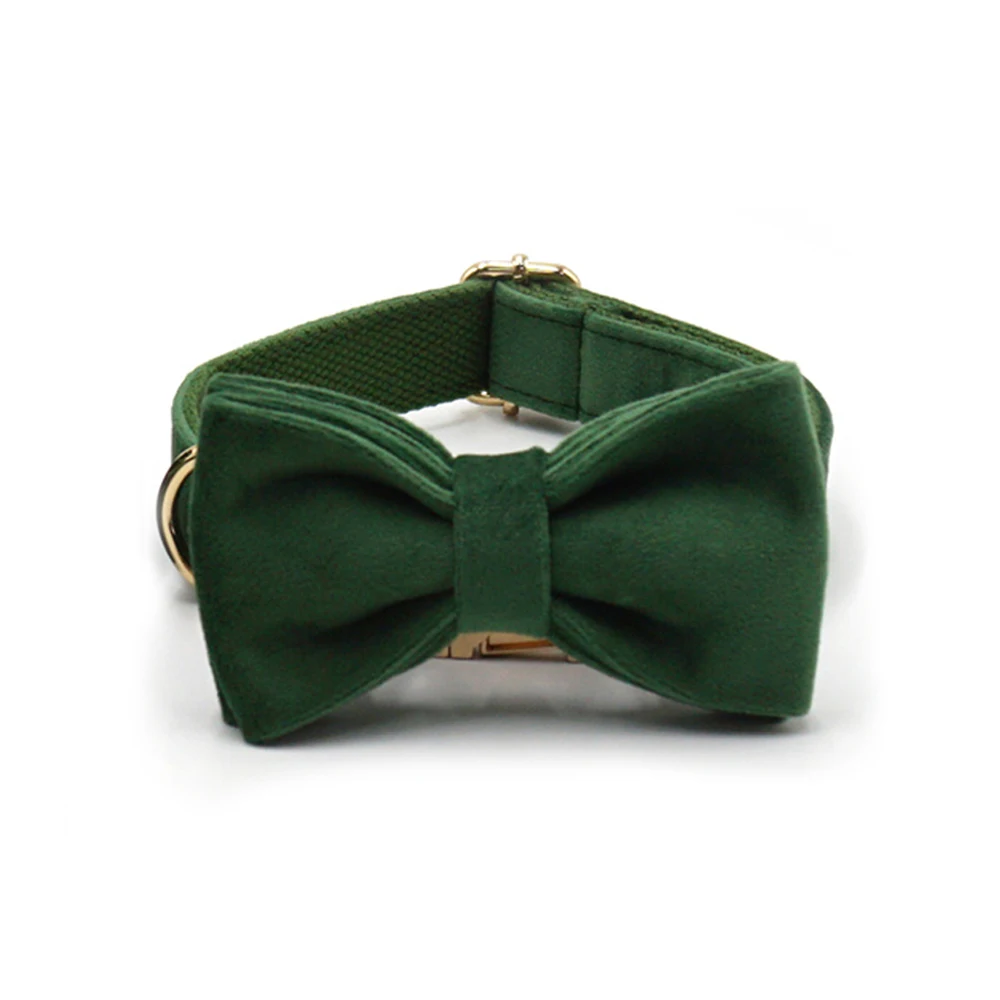 collar with bow