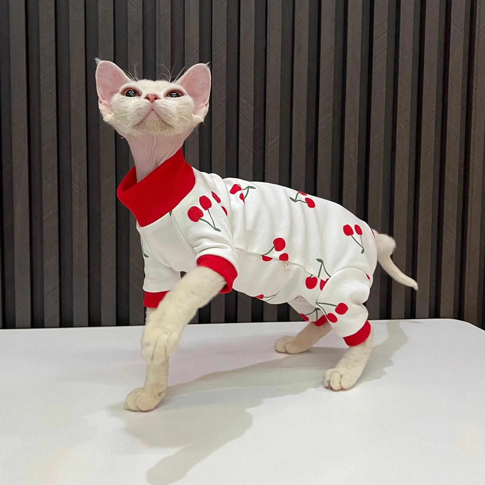 Primavera otoño ropa de gato para gatos estampado de cereza Sphynx mono de gato sin pelo cuello alto cobertura completa pijamas de gato gatito Onesies - imagen 2