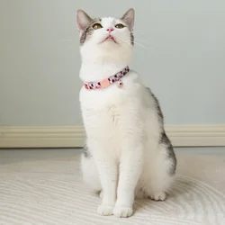 Collar de campana colorido ajustable para gato y perros mini