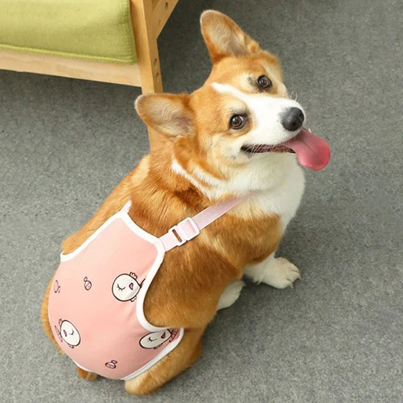Ropa para perros pequeños, pantalones cortos suaves 100% de algodón para mascotas con correa, ropa interior ajustable para perros, traje para uso doméstico, pañales para perros - imagen 3