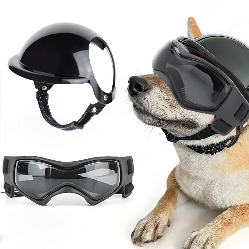 Casco para mascotas con gafas de sol - para perros y gatos - imagen 2
