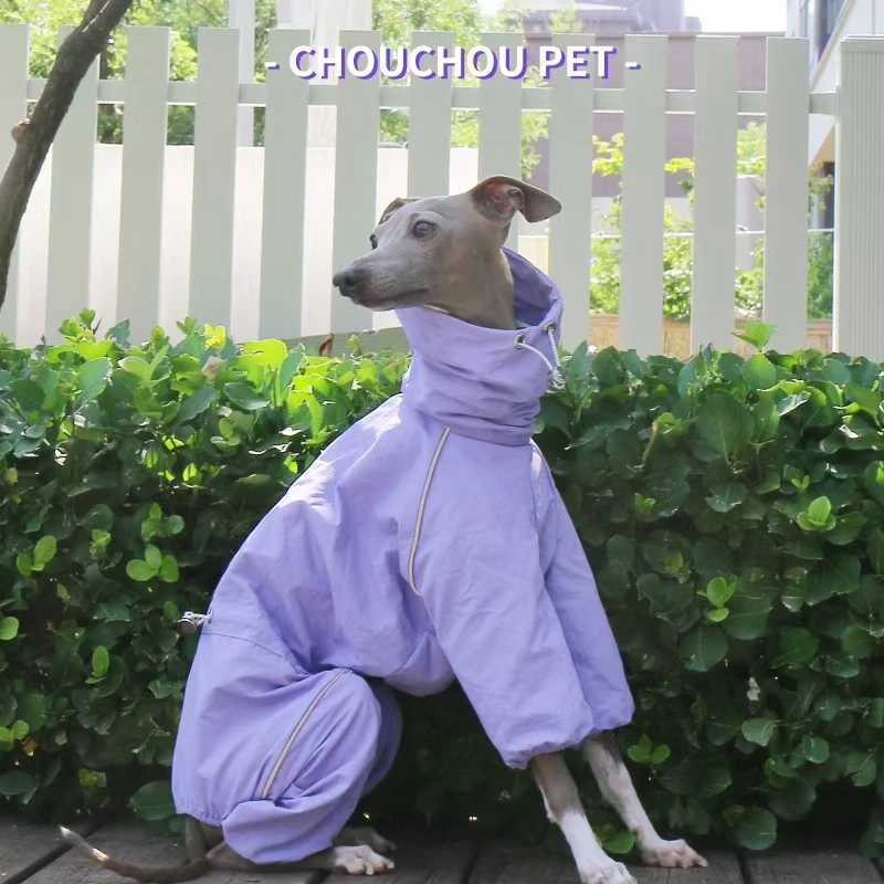 Chubasquero impermeable para Galgo Italiano - Otoño Invierno - imagen 3